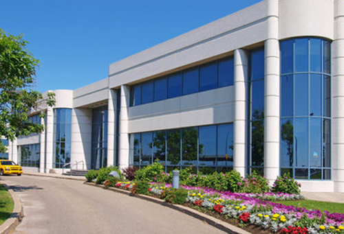 美軍45分鐘就可奪島？特朗普下通牒，通告全球，絕不要中俄當鄰居