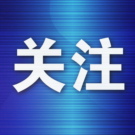 普蘭店532幅學生書法作品亮展，小書法家現場“取經”