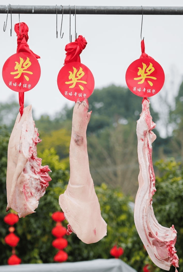 “刨豬宴”沒趕上，“箭塔年豬祭”十週年別錯過！出行提示趕緊收藏