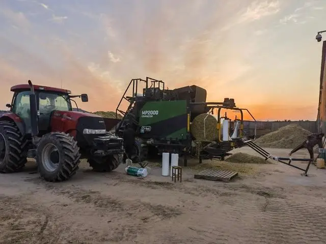 科技改良讓鹽鹼地變身“致富田”