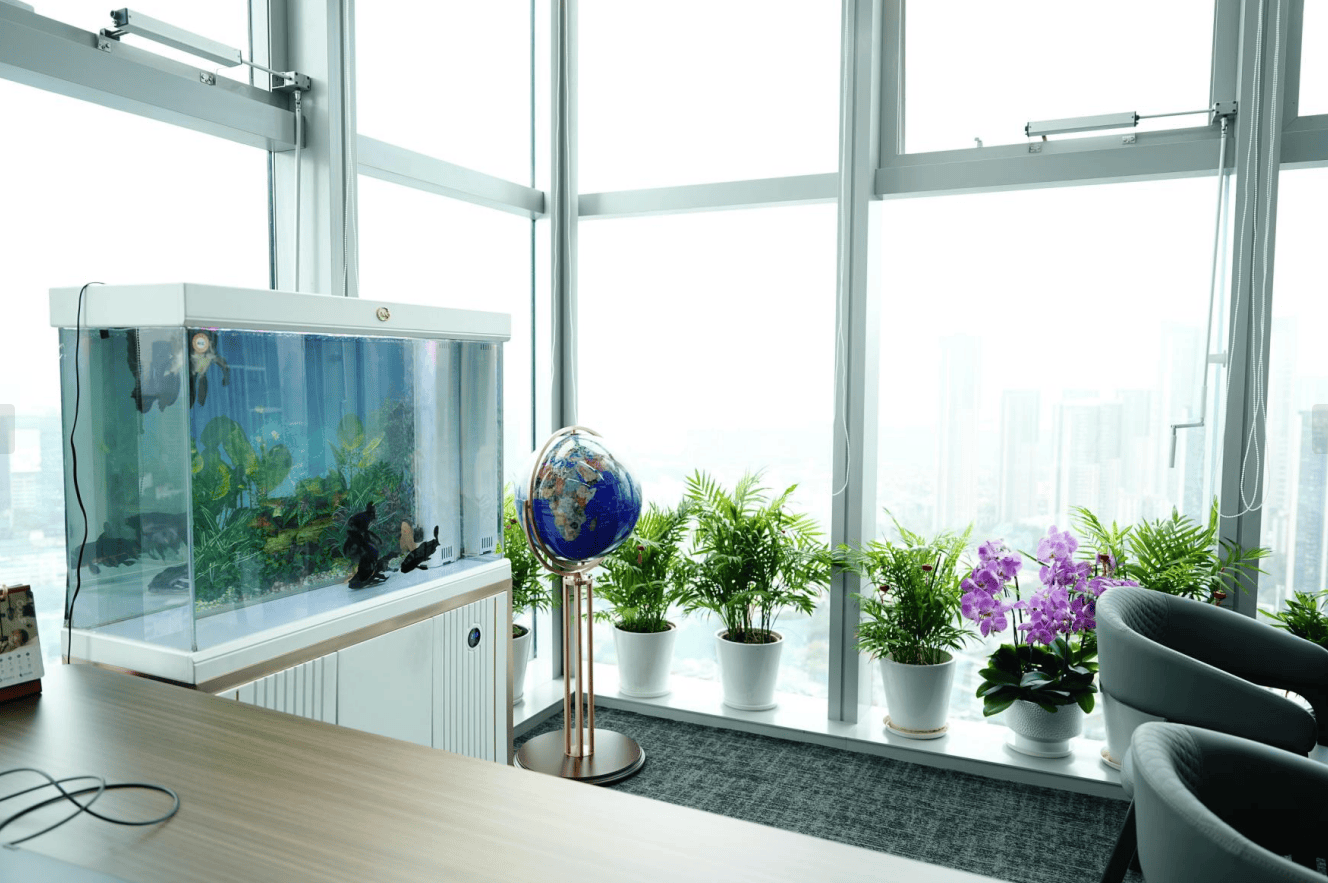 深圳時代出國分享迪拜房產折扣資訊，教你如何選到高價效比房產