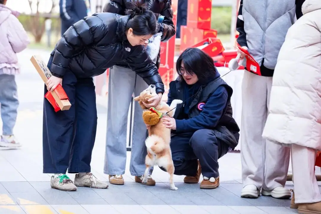 租賃房社羣別樣年貨節暖心啟幕→