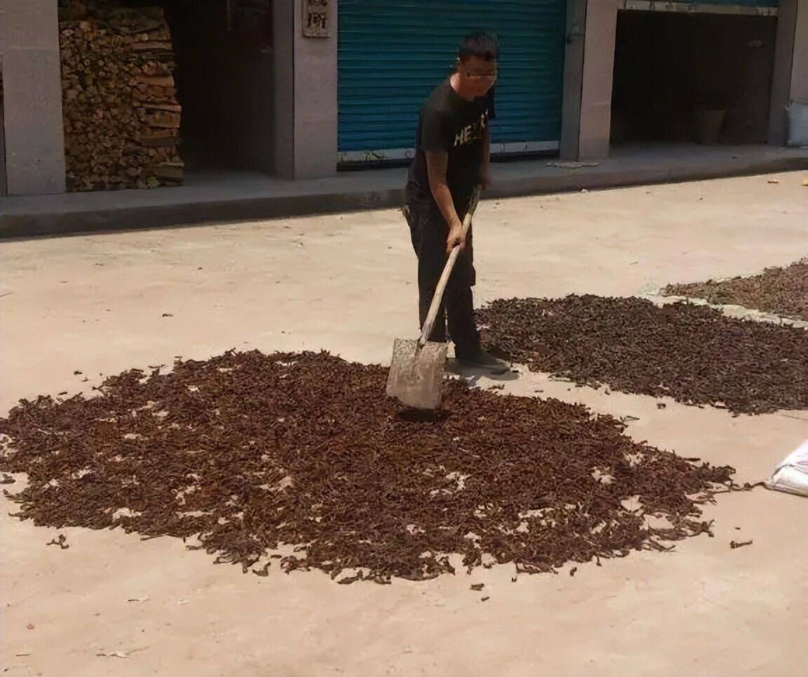 原創農村石頭上的“珍寶”，知道的農民搶著收藏，見到它一定要珍惜！