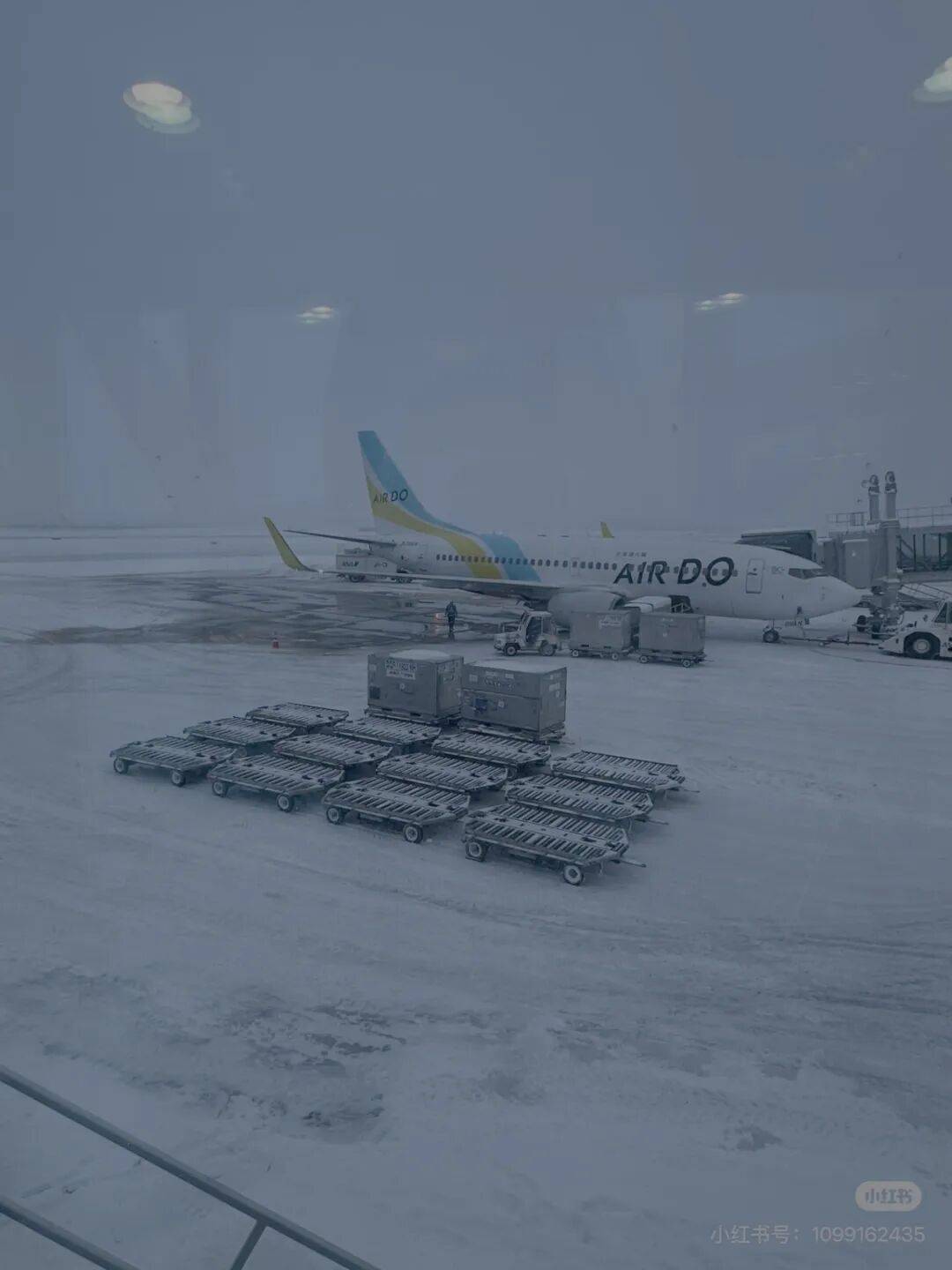 航班大量取消！超市貨架拿空！不少中國網友發文稱滯留日本……