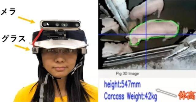 原創《鬼滅之刃》隱藏BUG？日本大學論文證實彌豆子竹子“不科學”