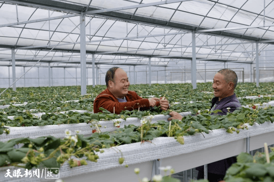 看見這雙手，我們讀懂了什麼叫“把論文寫在大地上”