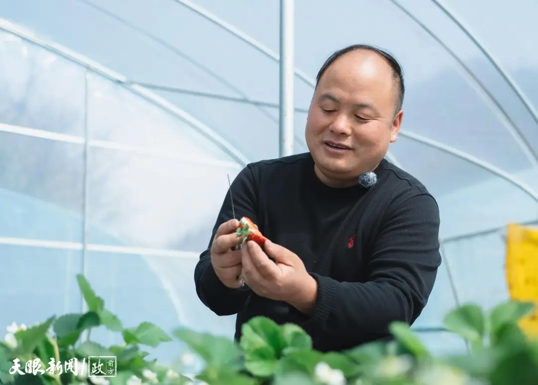 看見這雙手，我們讀懂了什麼叫“把論文寫在大地上”