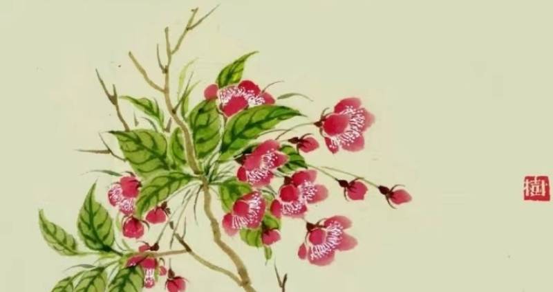 魏廣悅《豬尾巴、大學生及其他(佳木斯記憶60)》