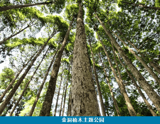 湘超冠軍城永州美景美食地圖上新了！趕緊收藏分享