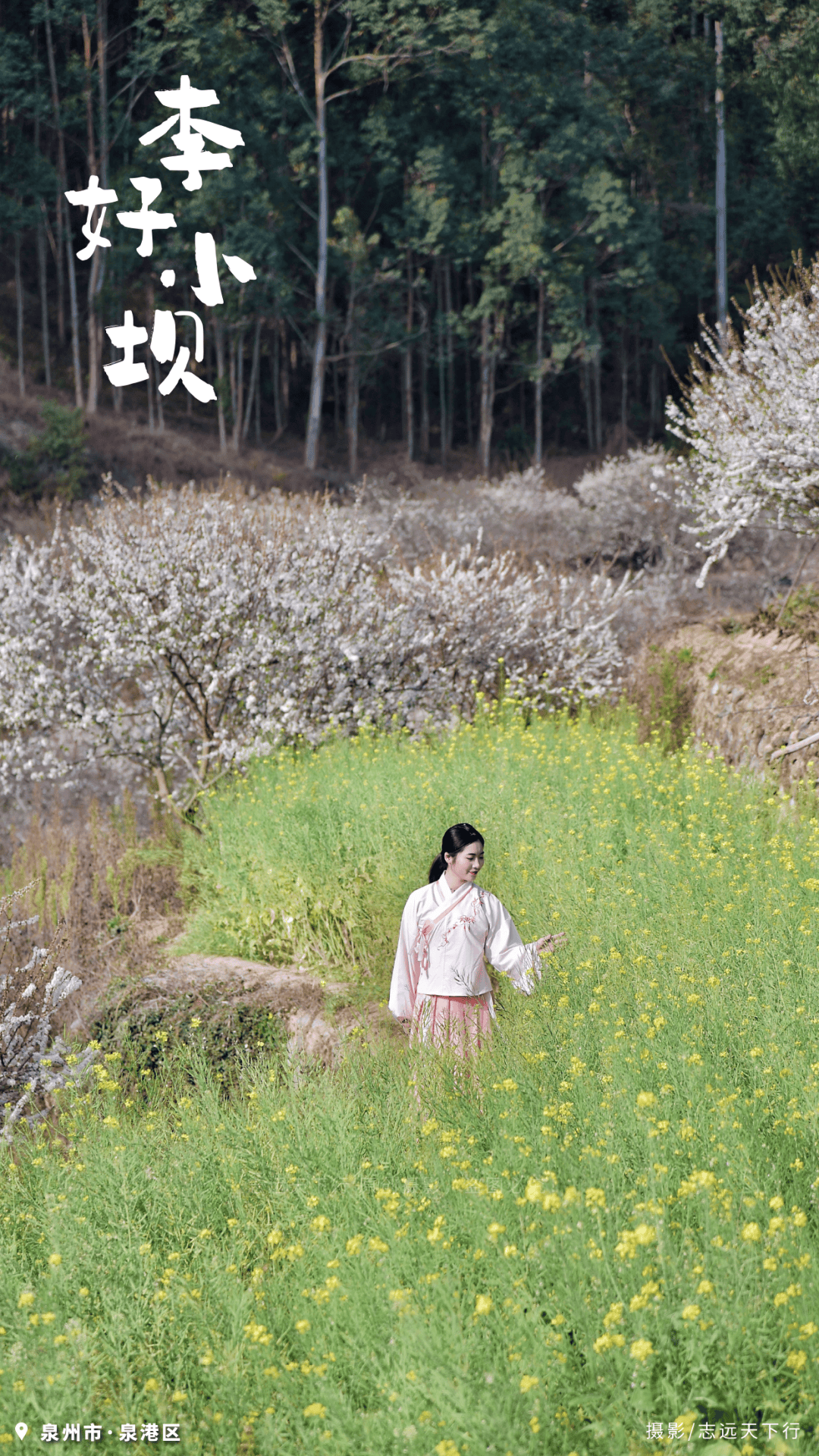 收藏！泉州春日賞花去哪裡？花期+地址全攻略