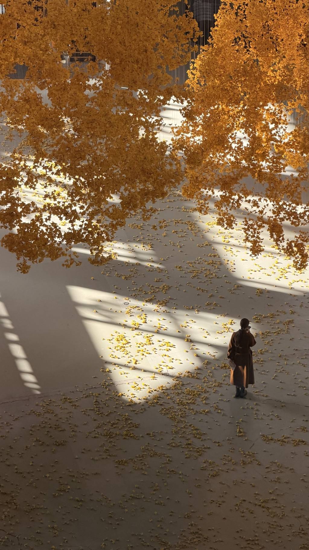 上海雙年展落幕前迎來觀展熱潮，女性藝術敘事令人矚目