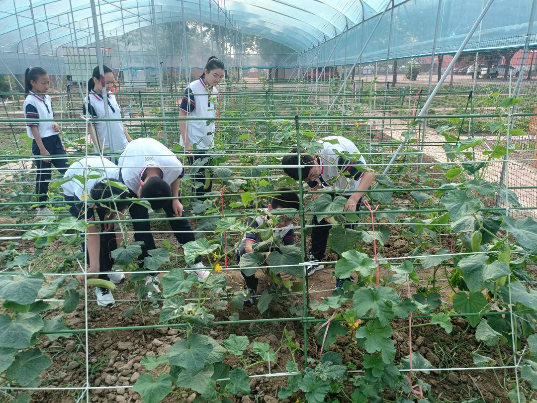 霑化區下窪鎮第一小學以“小切口”做實立德樹人“大文章”