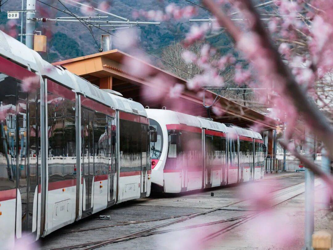 收藏！北京這個三月乘著“最美西郊線”穿越花海，最佳乘車時間和路線——