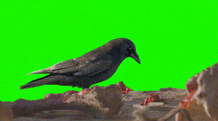 男二以下演員不用真人？AI正悄悄重塑影視行業