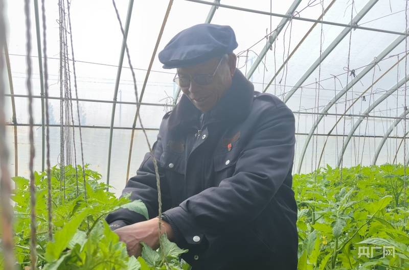 寧夏銀川：常態化幫扶精準發力 移民鄉村繪就增收致富新圖景