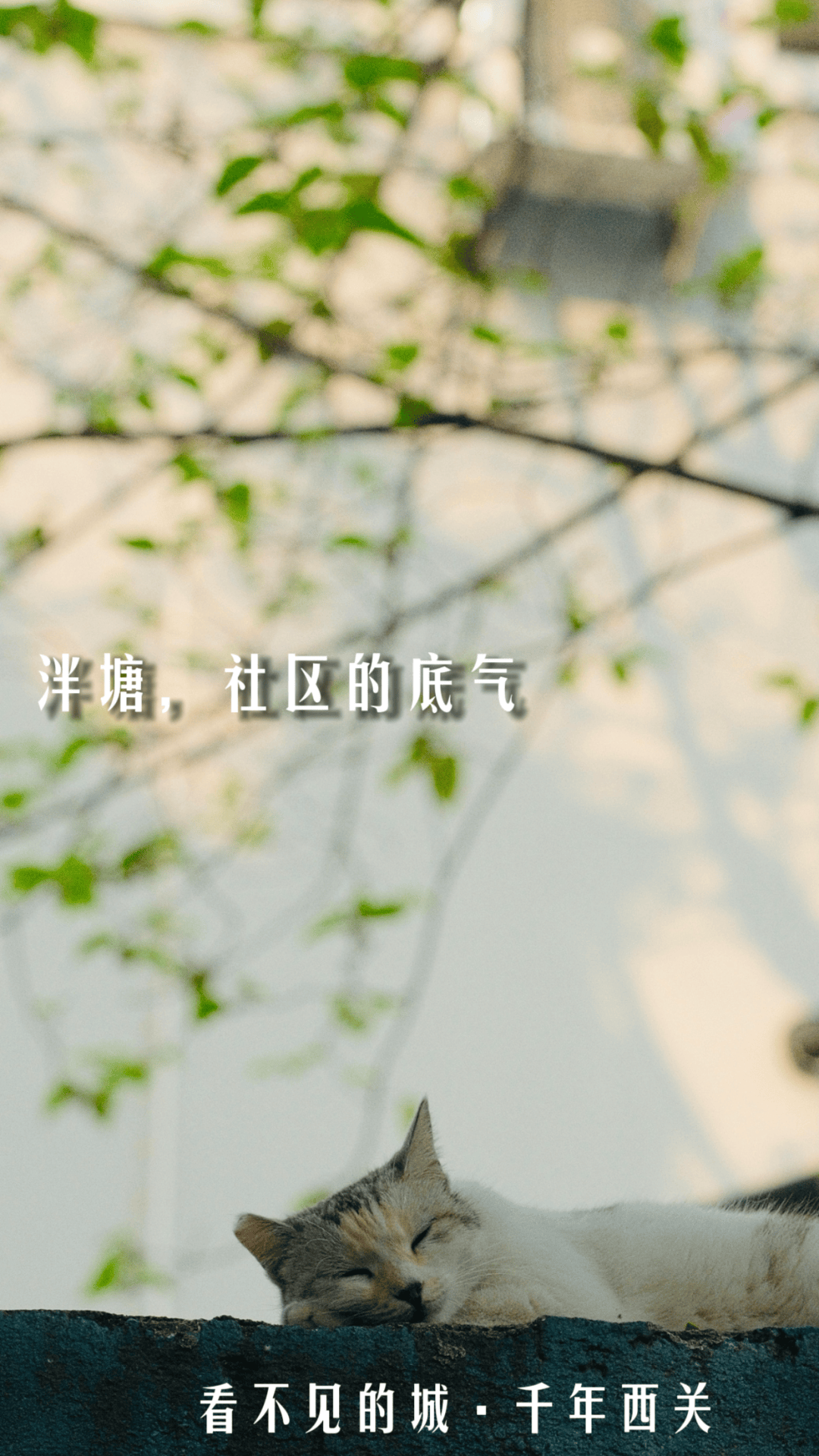 搬家了！速來