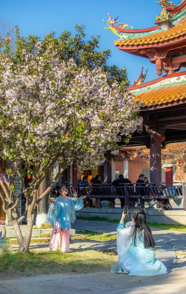 清明假期遛娃天花板！來臺兒莊古城解鎖親子“玩中學”的春日童話~