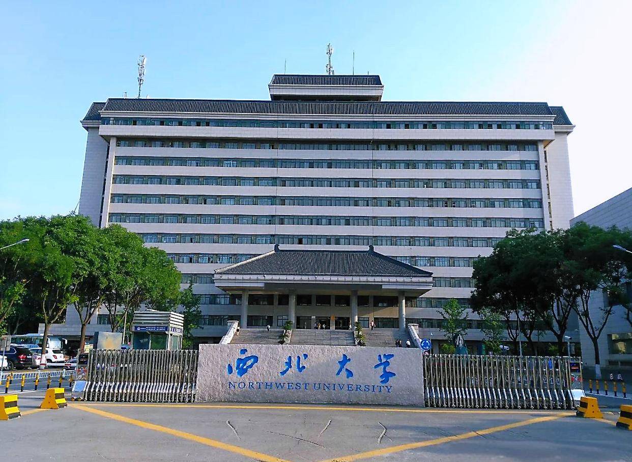 原創研究親爹的論文還要抄？賈淺淺這次沒法淺淺帶過