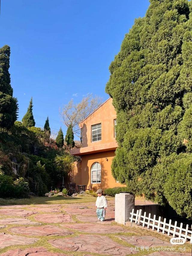 比大理浪漫！比昆明更近！高鐵直達陽光小城，2萬株藍花楹美瘋！觀海登山，美食吃到爽！