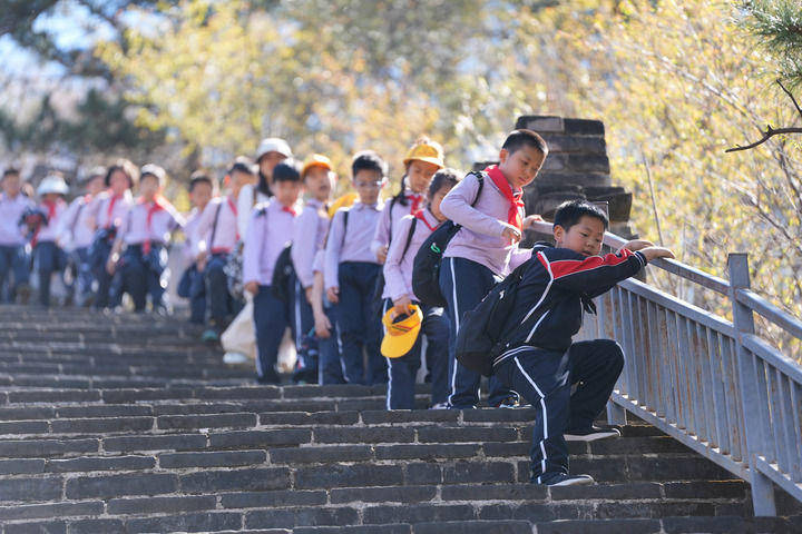 AI勁風撲面，中小學教育如何“進化”？