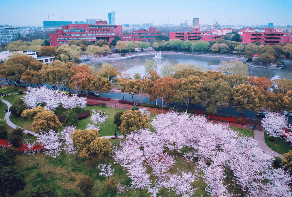 原創2026中國大學30強出爐！南方科技大學排名上升