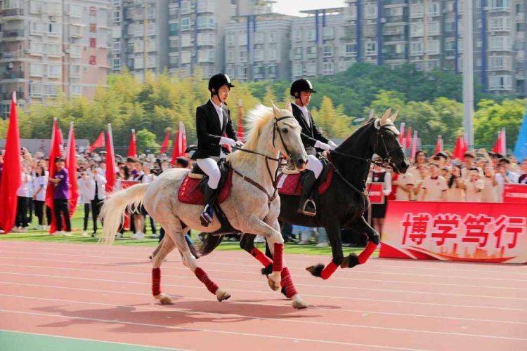 燃爆了！這個大學運動場上，刑偵“利劍”出鞘，駿馬奔騰