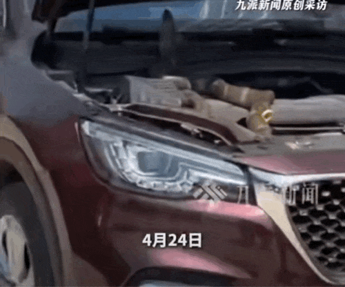 太驚悚! 小轎車內驚現巨型眼鏡王蛇, 體長近3米, 6斤重! 蛇到處亂竄, 最終…