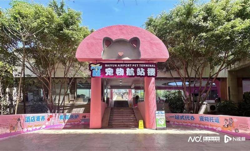 三明伴侶動物立法爭議：法律空缺，寵物經濟千億賽道如何發展