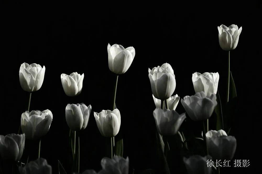 國際旅遊攝影網·52旅遊攝影——專注攝影旅行十五年