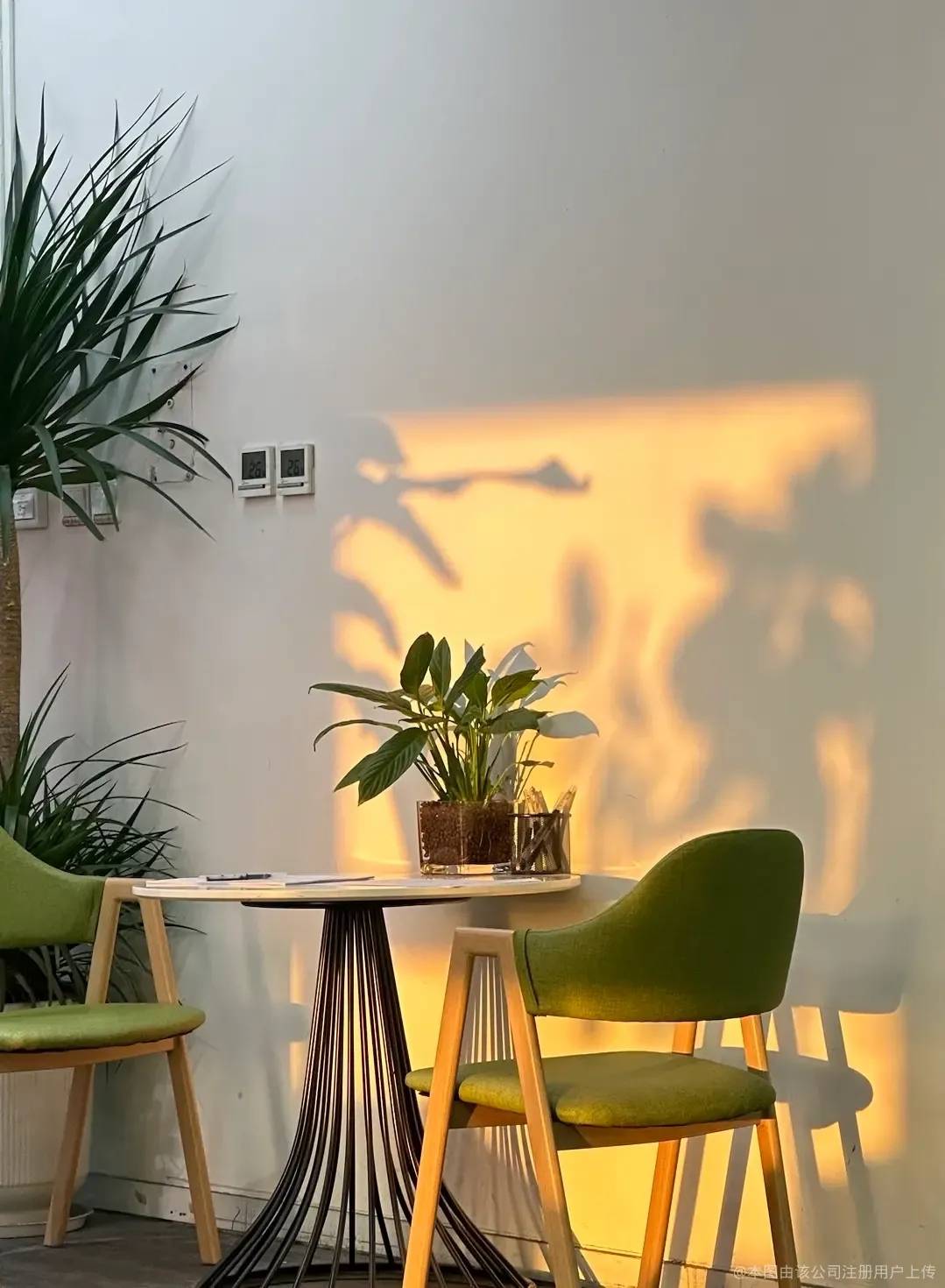 紐卡斯爾哪些租房平臺提供免費看房？當地租房服務參考指南