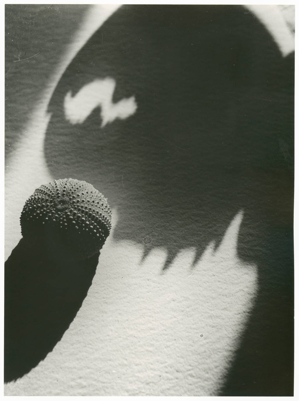 看展覽｜德國包豪斯的女性攝影師作品在柏林攝影博物館展出