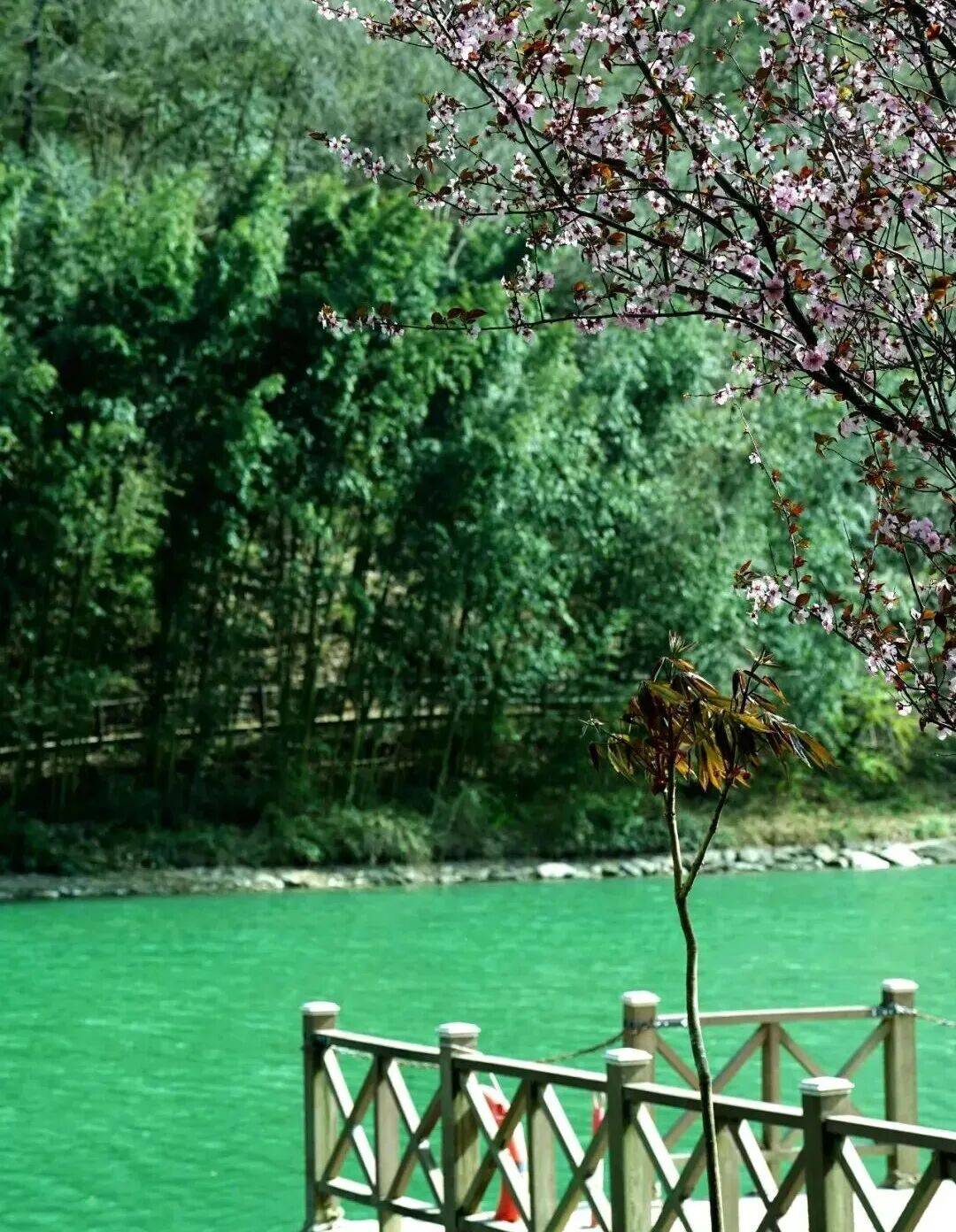 五一小長假倒計時！隴南熱門景區停車泊位數量公佈，趕緊收藏→