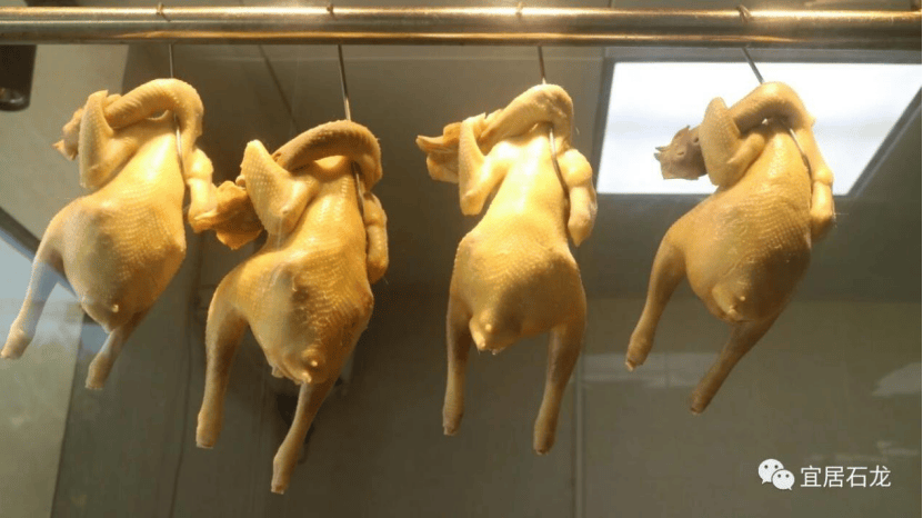豆皮雞和奇香雞：宵夜攤闖出的風味傳奇丨石龍美食江湖志