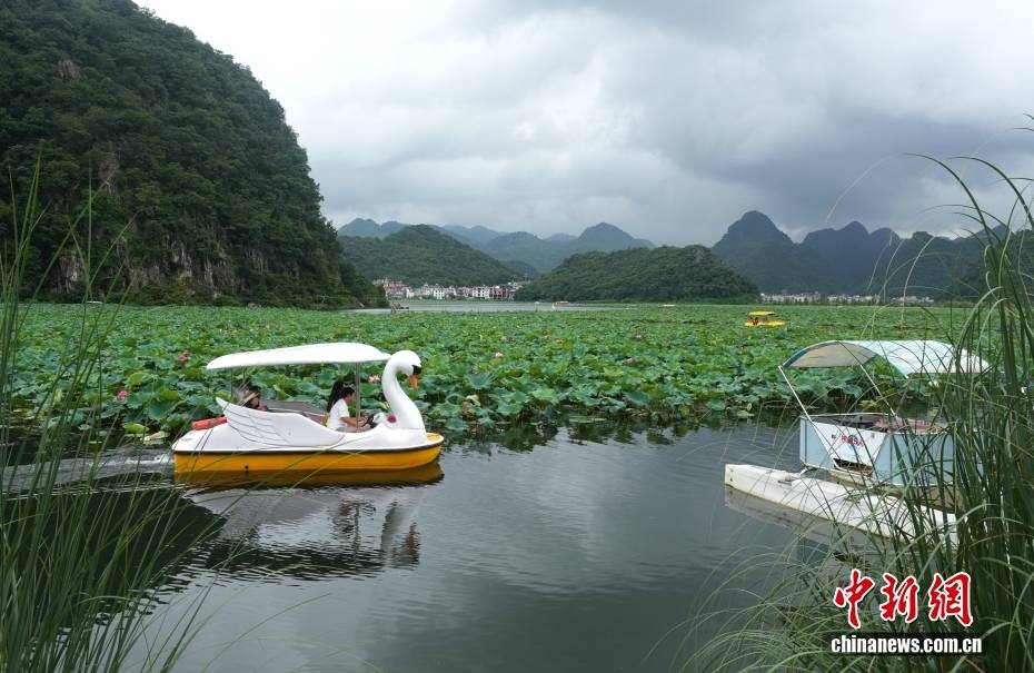雲南普者黑：喀斯特山水迎來暑期旅遊熱