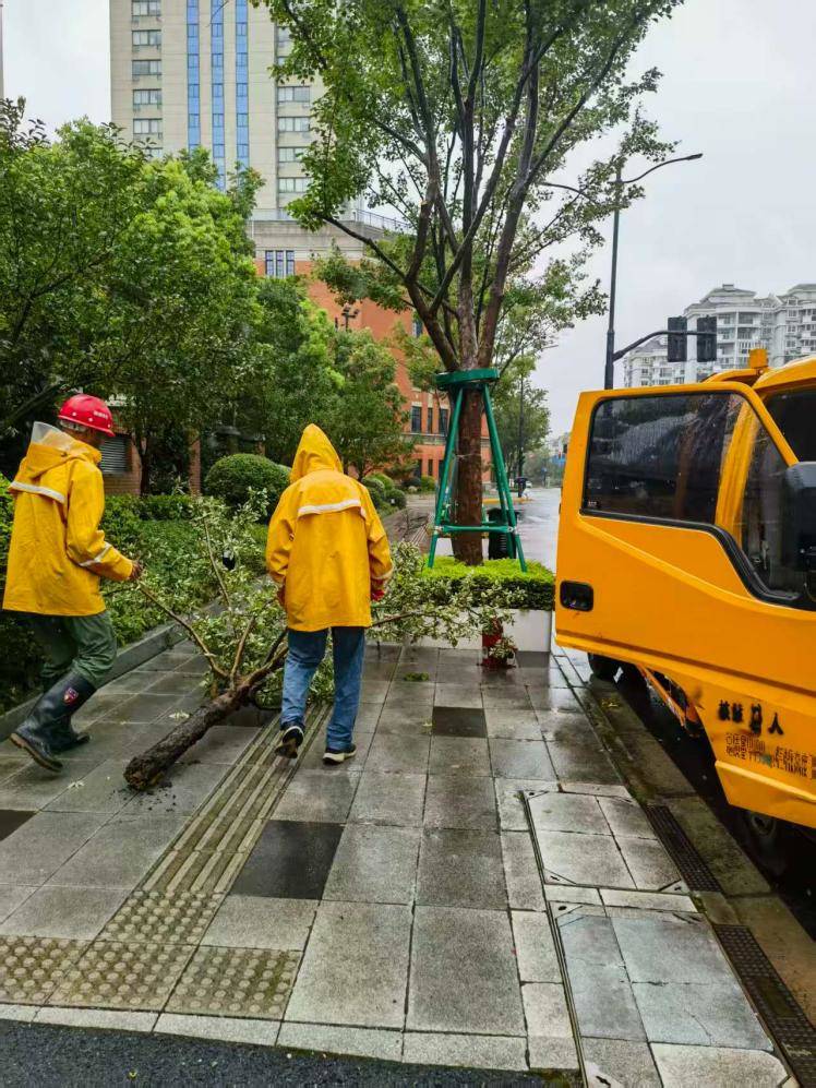 綠容行業快速處置樹木倒伏，恢復道路通行