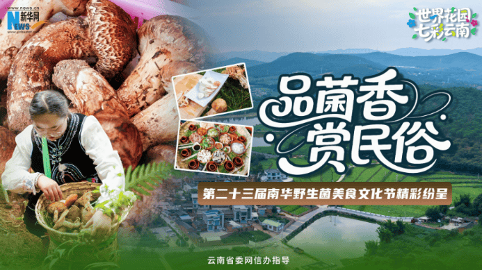 第二十三屆南華野生菌美食文化節精彩紛呈