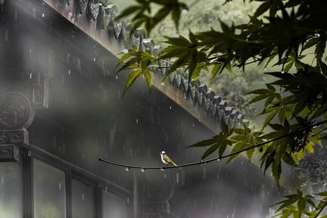 詩意江城：寧心養性野三關 華中涼都不虛傳——詩人言為心生最新詩歌欣賞