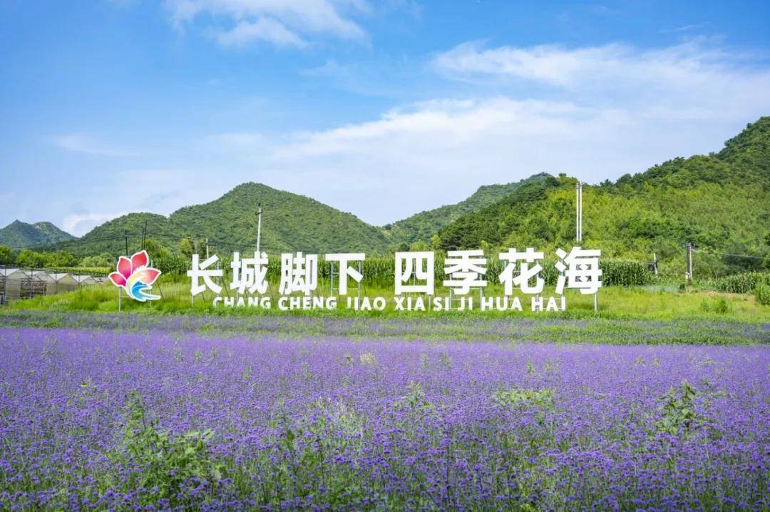 延慶四海旅遊升級！3條線路4家新店玩法超多——