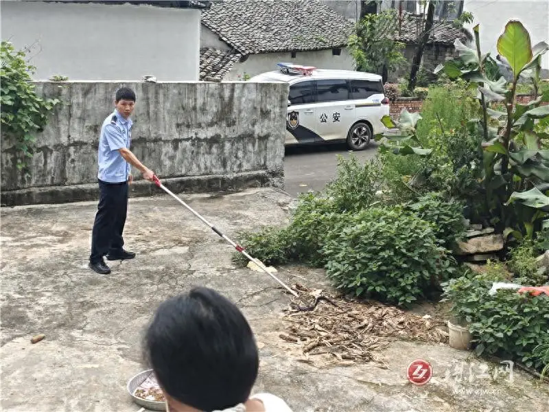 毒蛇盤踞農家院落 長底派出所民警快速處置化險為夷
