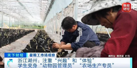 令人“心動”的offer，大學生扎堆當景區NPC！