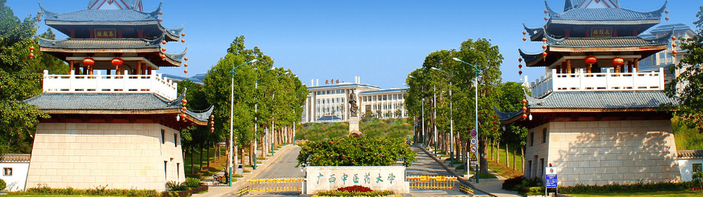 廣西中醫藥大學考研保研好不好？本碩脫節是考研大忌，貫通培養才是升學捷徑