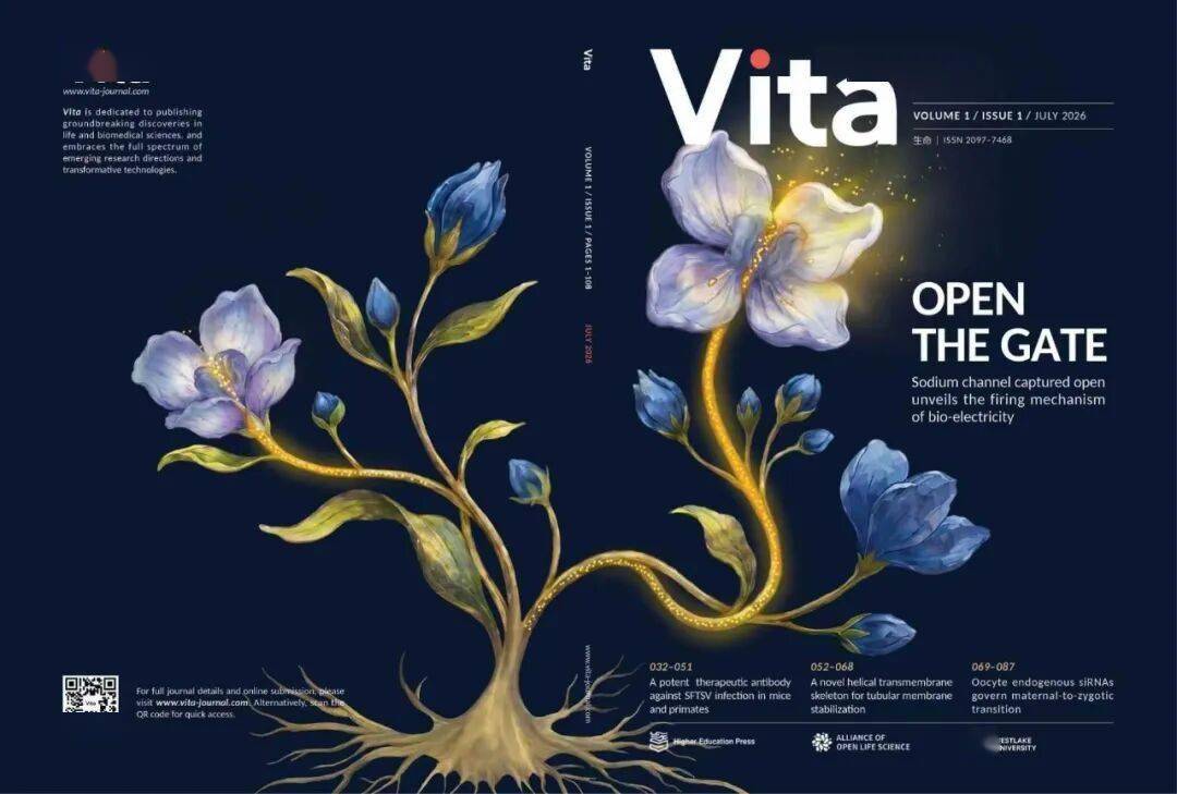 論文被國產頂刊Vita秒拒，顏寧回應