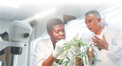 交流互鉴，助力中非携手迈向现代化（“留学中国”故事）