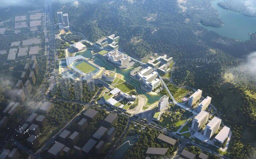 深圳984.5大學火了！