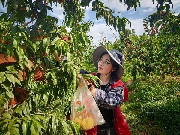 “三下鄉”不止在暑期——超九成受訪大學生期待“三下鄉”變“常在鄉”