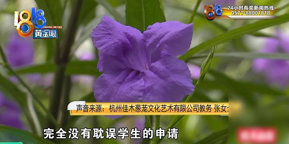 花16萬8給女兒報了留學輔導，“前三所沒問題的”？錄取通知下來，她傻眼了