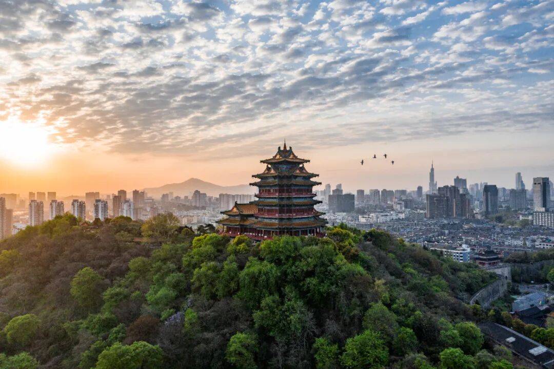 南京釋出大學新生福利！戳這裡→