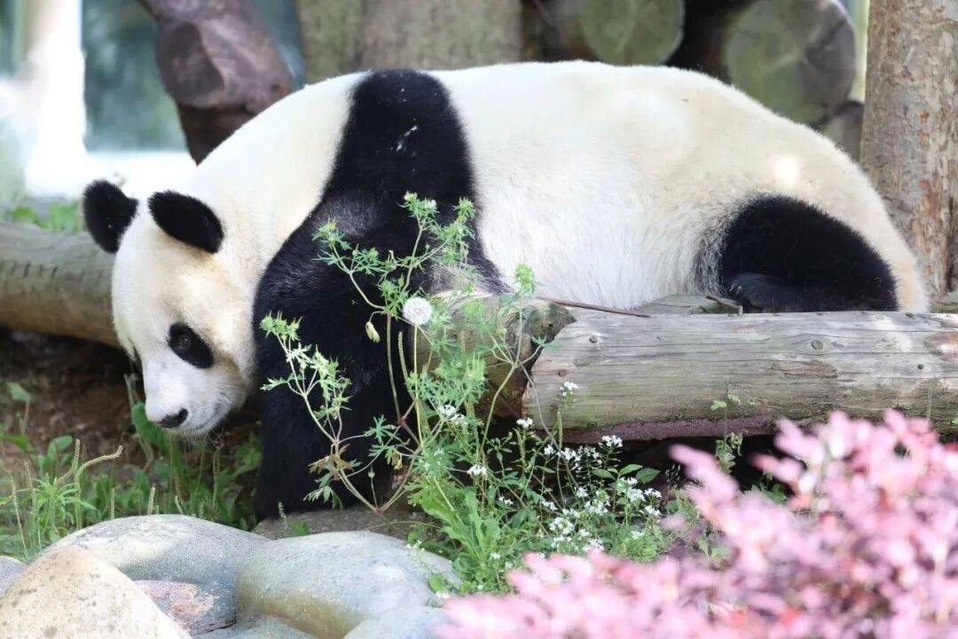 南京釋出大學新生福利！戳這裡→