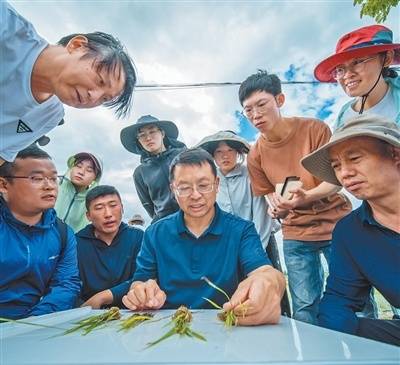 把論文寫在大地上